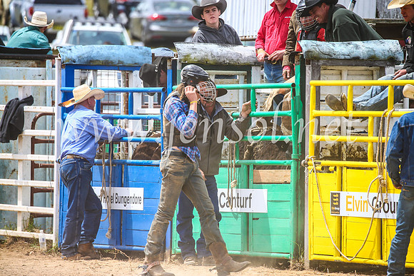 BungendoreRodeo2017_2862