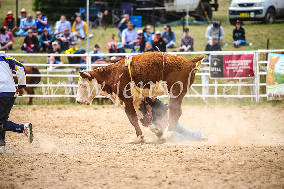 BungendoreRodeo2017_2744