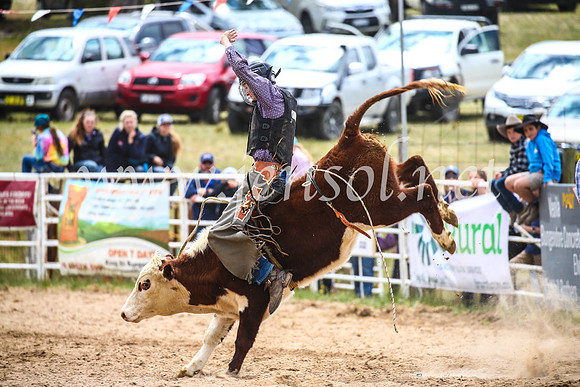 BungendoreRodeo2017_2109