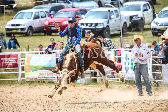 BungendoreRodeo2017_2843
