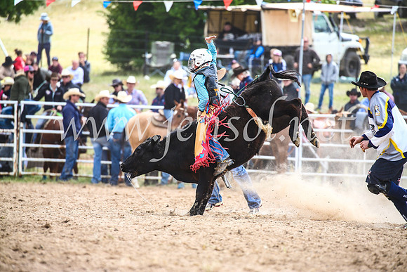 BungendoreRodeo2017_1770