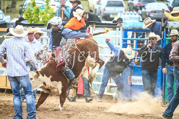 BungendoreRodeo2017_2021