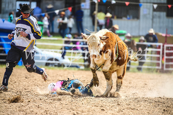 BungendoreRodeo2017_1566