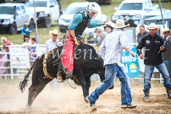 BungendoreRodeo2017_2034