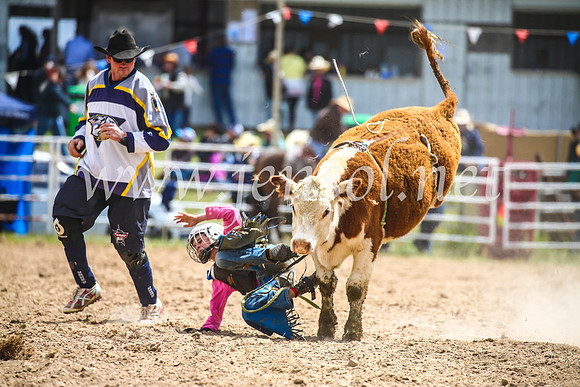 BungendoreRodeo2017_1562