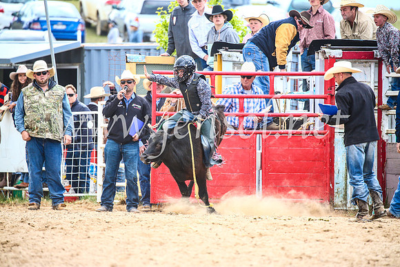 BungendoreRodeo2017_1729