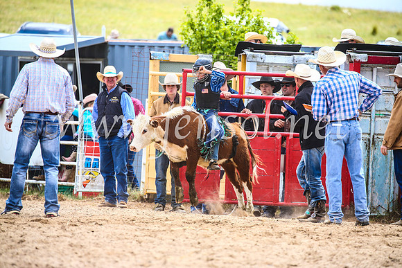 BungendoreRodeo2017_1548