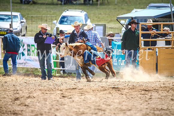 BungendoreRodeo2017_1521