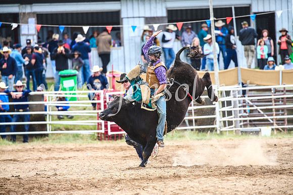 BungendoreRodeo2017_2097