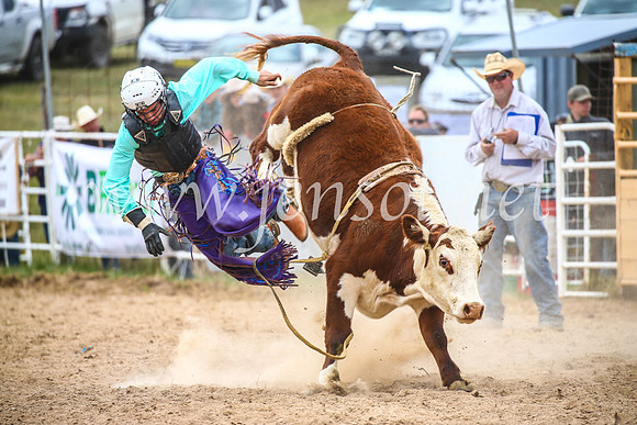 BungendoreRodeo2017_2680