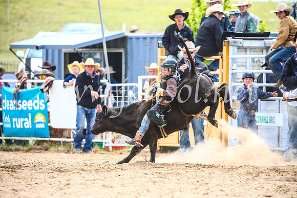 BungendoreRodeo2017_1528