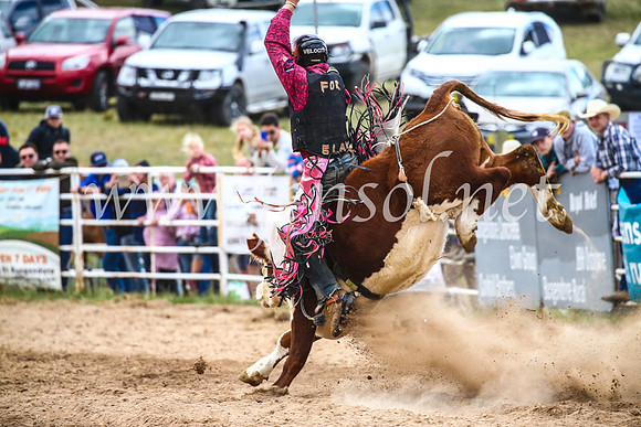 BungendoreRodeo2017_1999