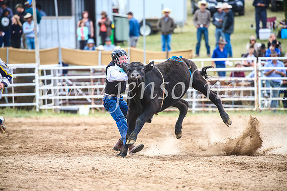 BungendoreRodeo2017_2085