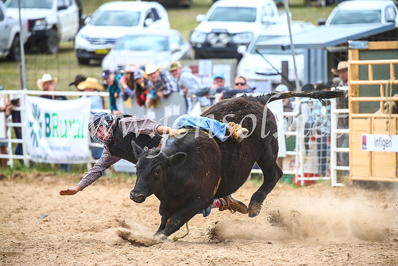 BungendoreRodeo2017_2697