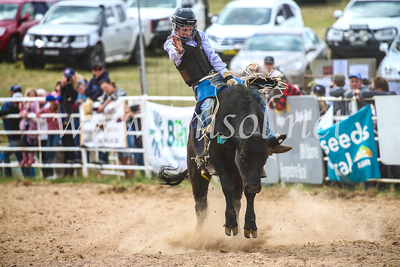 BungendoreRodeo2017_2754