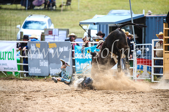 BungendoreRodeo2017_1527