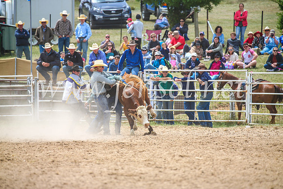 BungendoreRodeo2017_2728