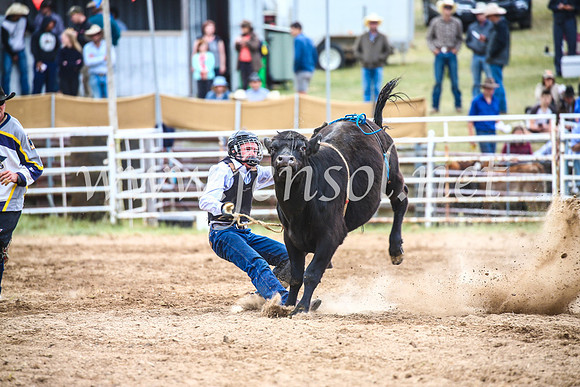 BungendoreRodeo2017_2086