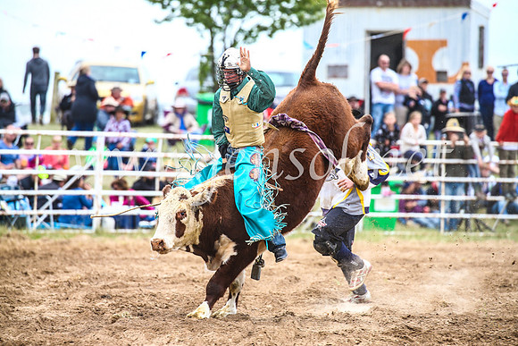 BungendoreRodeo2017_2070