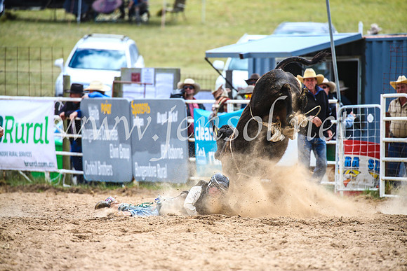 BungendoreRodeo2017_1526