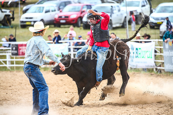 BungendoreRodeo2017_2698