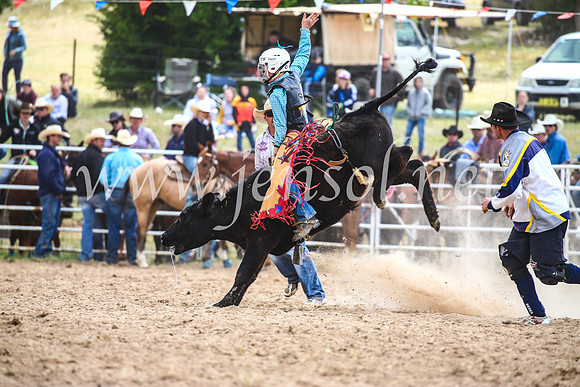 BungendoreRodeo2017_1773