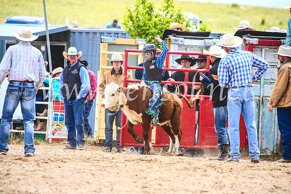 BungendoreRodeo2017_1547