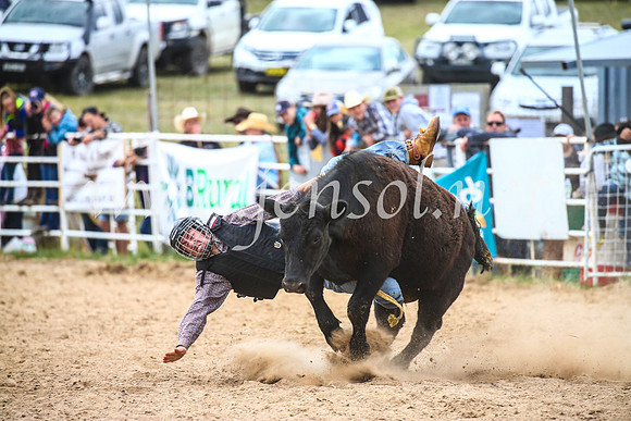 BungendoreRodeo2017_2691
