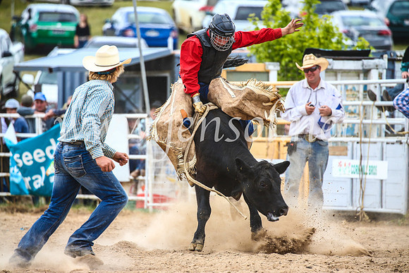 BungendoreRodeo2017_2871