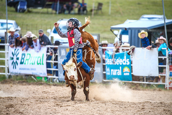 BungendoreRodeo2017_1567
