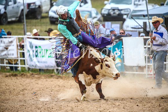 BungendoreRodeo2017_2679