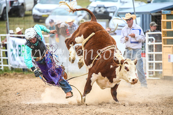 BungendoreRodeo2017_2682