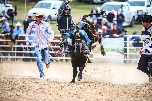 BungendoreRodeo2017_1748