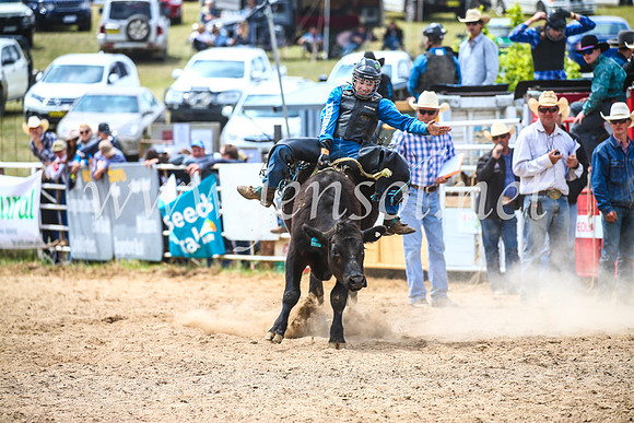BungendoreRodeo2017_2803