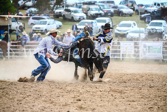 BungendoreRodeo2017_1754