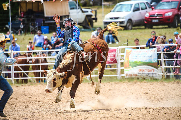 BungendoreRodeo2017_2851