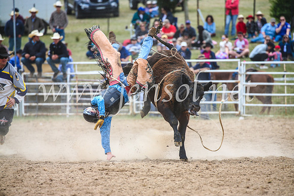 BungendoreRodeo2017_2672