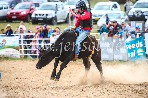 BungendoreRodeo2017_2709