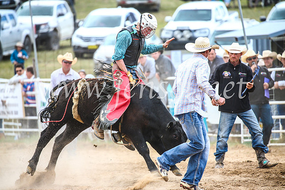 BungendoreRodeo2017_2036