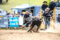 BungendoreRodeo2017_1531