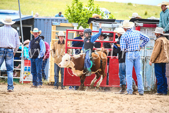 BungendoreRodeo2017_1549