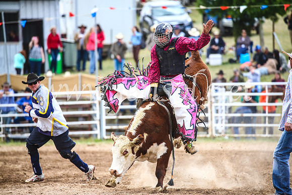 BungendoreRodeo2017_2011