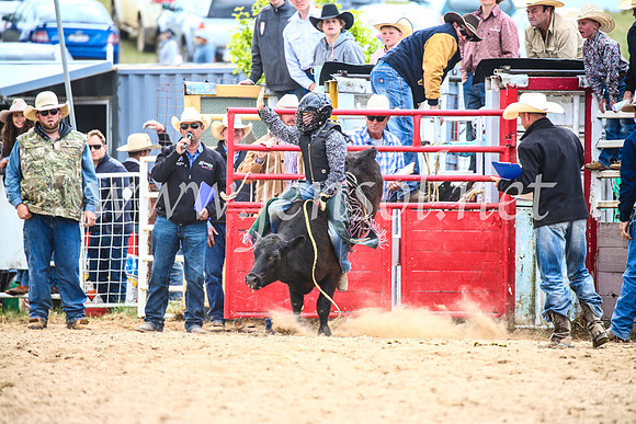 BungendoreRodeo2017_1731