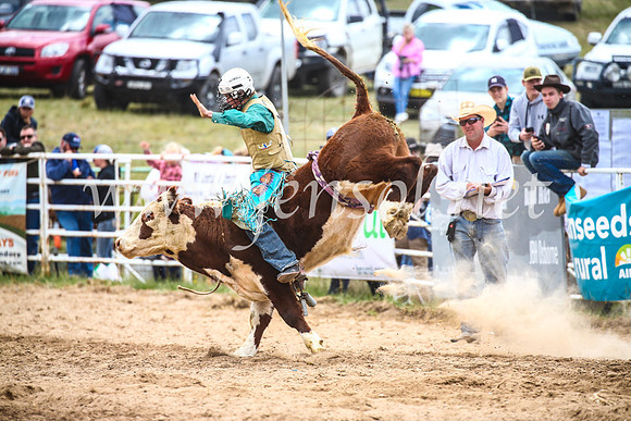 BungendoreRodeo2017_2053