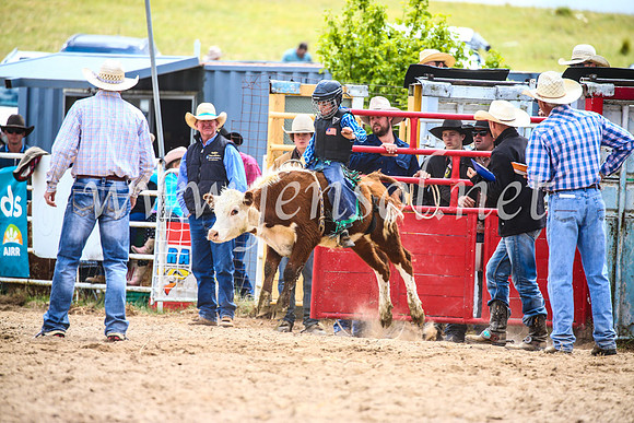 BungendoreRodeo2017_1555