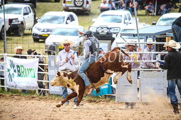 BungendoreRodeo2017_2655