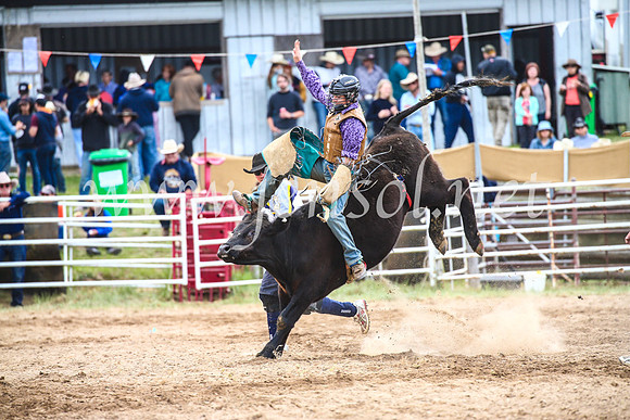 BungendoreRodeo2017_2095