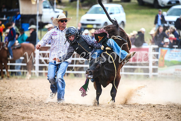 BungendoreRodeo2017_1746