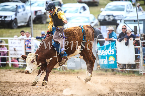 BungendoreRodeo2017_2045