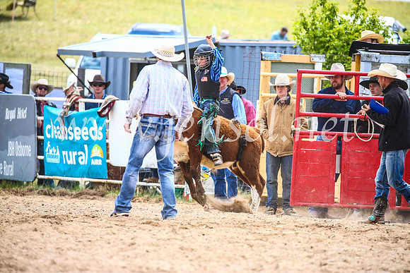 BungendoreRodeo2017_1553